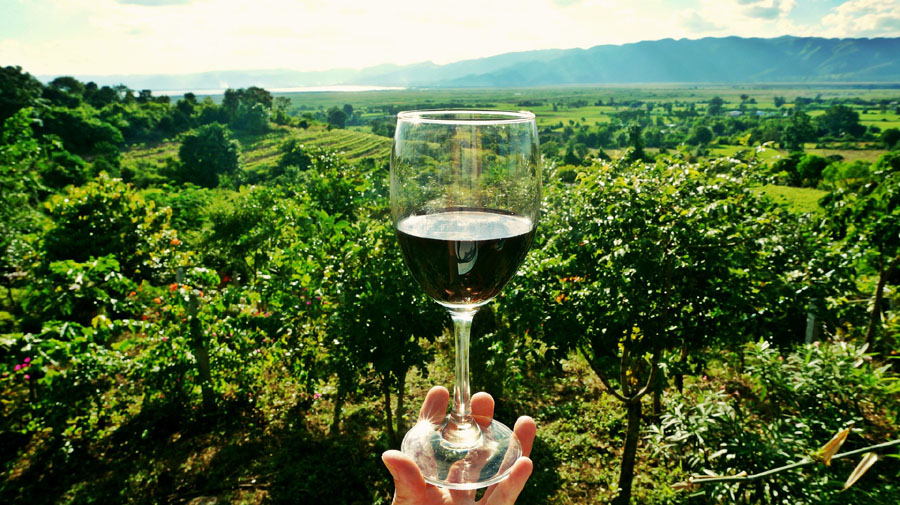 ヴィンテージワインの世界へ。ワイングラスの向こうにひろがる広大なぶどう畑。