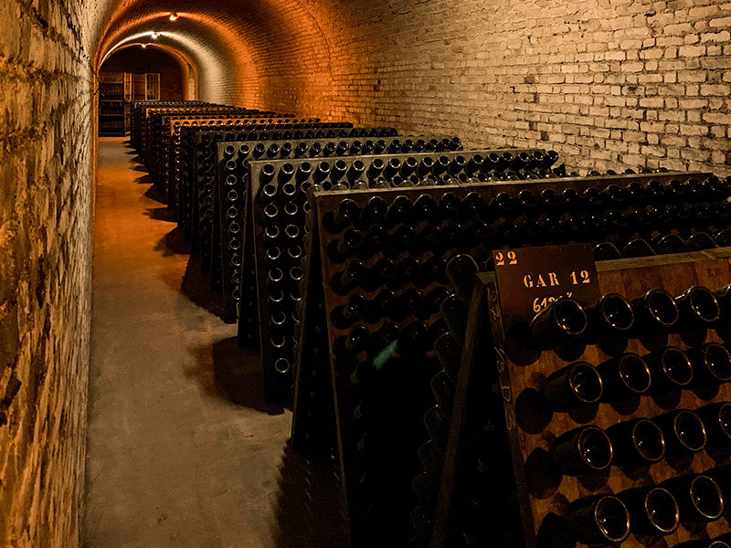 モエ・エ・シャンドン、ワインの地下セラー、数百本並ぶシャンパーニュ